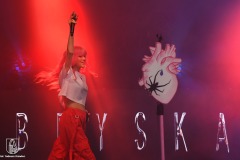 DSC_0679_summer_festival_bryska_2023