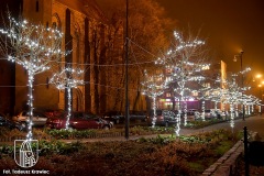 DSC_0453_swiatecznewidoki_2020