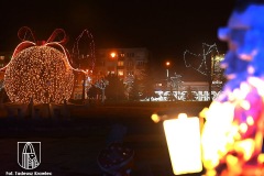 DSC_0556_swiatecznewidoki_2020
