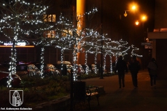 DSC_5220_lampki2020