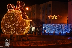 DSC_5247_lampki2020