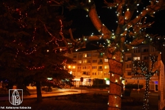 DSC_5248_lampki2020