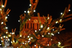 DSC_5305_lampki2020