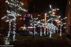 DSC_5395_lampki2020