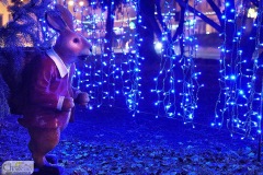 DSC_1630_choszczno_swieta_iluminacje