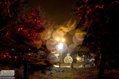 DSC_9670_choszczno_swieta_iluminacje