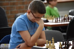 DSC_6991_szachy_skoczek_02_2020