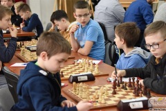 DSC_7008_szachy_skoczek_02_2020