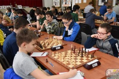 DSC_7010_szachy_skoczek_02_2020