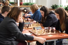 DSC_7020_szachy_skoczek_02_2020