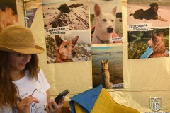 DSC_1891_piknik_nad_odra_targi_2021