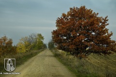 DSC_9147_trasa_2020