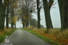DSC_9163_trasa_2020