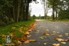 DSC_9678_trasa_2020