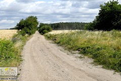 DSC_3257_glezno_stawin_trasy_rowerowe_2019