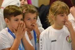DSC_0995_badminton_2022