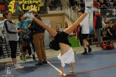 DSC_8324_badminton_2022