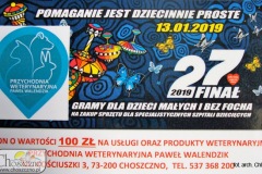 wosp2019_DSC07875