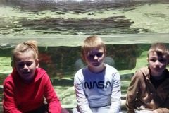 IMG-20221125-WA0120_2
