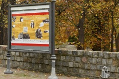 DSC_7732_nsn_2020