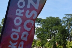 DSC_1655_choszczno_holi_festival_14_07_2019