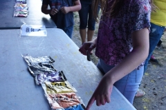 DSC_1715_choszczno_holi_festival_14_07_2019