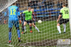 DSC_1646_gavia_piast_04_2019