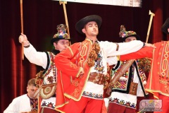DSC_6892_koncert_ukraina_2019