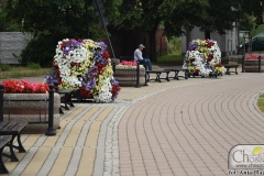 DSC_2612_kwietniki_choszczno_07_2019