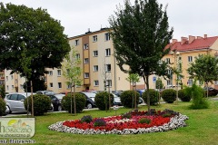 DSC_2852_zielen2019