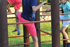 DSC_5646_74837_piasecznik_dozynki2019