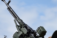 DSC_4979_piknik_militarny2019