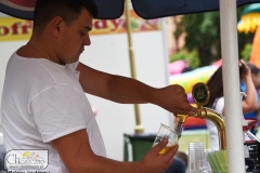 DSC_5127_piknik_militarny2019