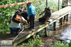 DSC_8335_sprzatanie_klukom_2019
