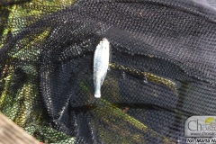 DSC_4743_zawody_dzieci_odon_2019