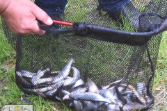 DSC_4878_zawody_dzieci_odon_2019