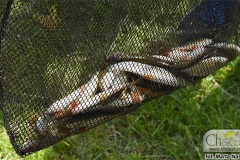 DSC_4911_zawody_dzieci_odon_2019